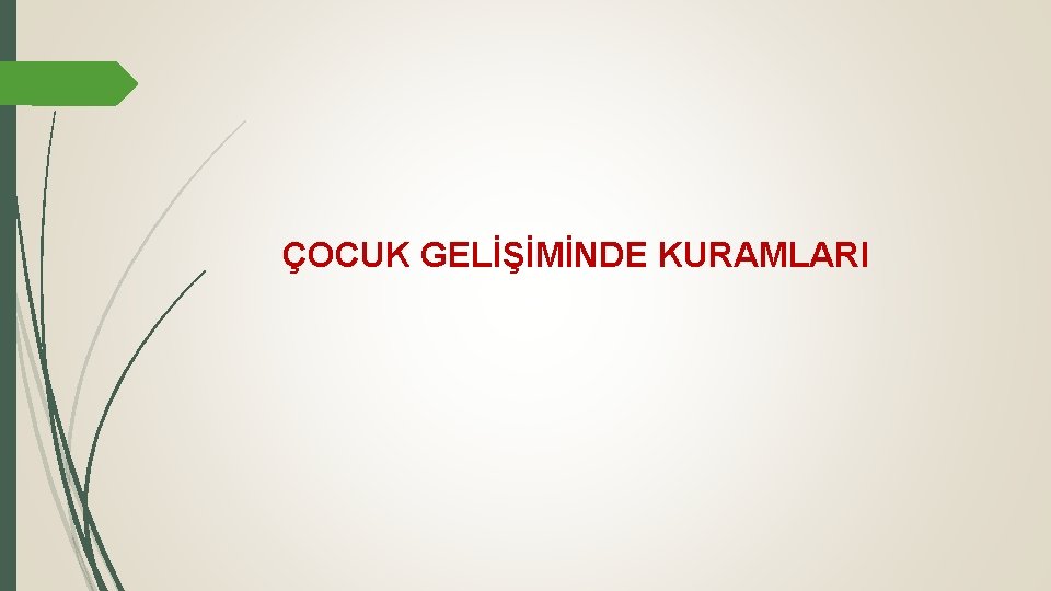 ÇOCUK GELİŞİMİNDE KURAMLARI 