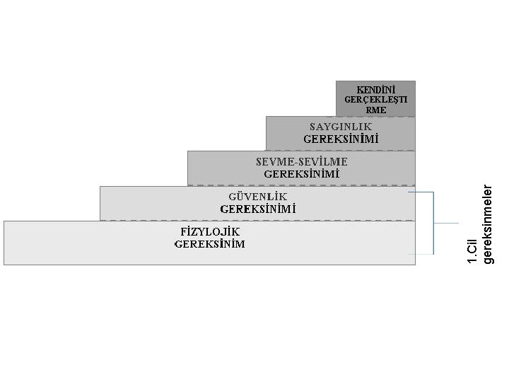 1. Cil gereksinmeler 