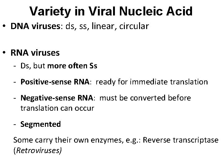 Variety in Viral Nucleic Acid • DNA viruses: ds, ss, linear, circular • RNA