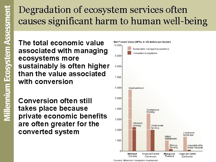 Degradation of ecosystem services often causes significant harm to human well-being The total economic