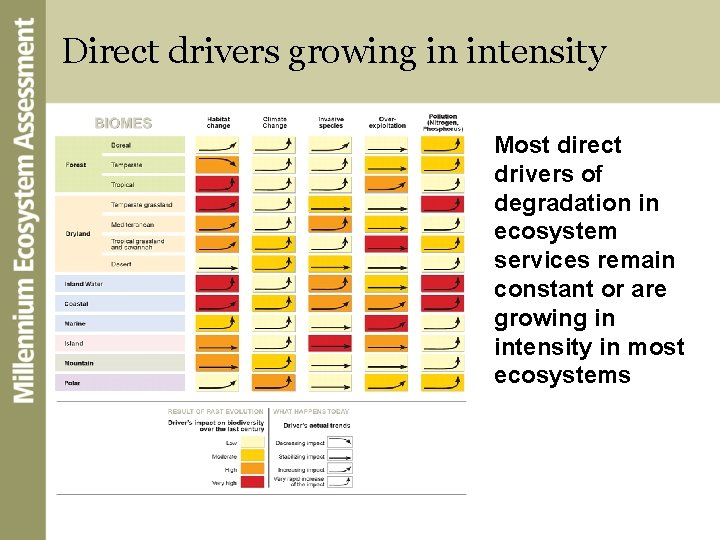 Direct drivers growing in intensity Most direct drivers of degradation in ecosystem services remain