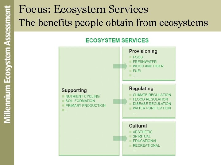 Focus: Ecosystem Services The benefits people obtain from ecosystems 