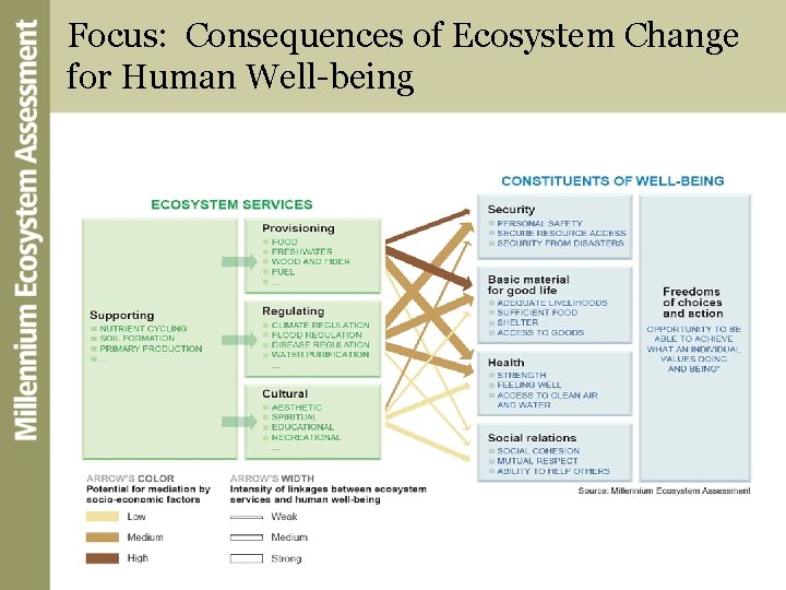 Focus: Consequences of Ecosystem Change for Human Well-being 