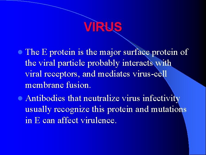 VIRUS l The E protein is the major surface protein of the viral particle