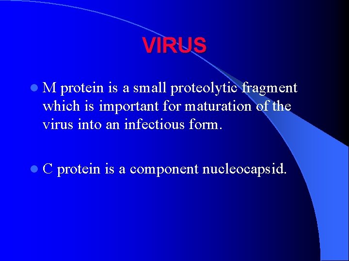 VIRUS l. M protein is a small proteolytic fragment which is important for maturation