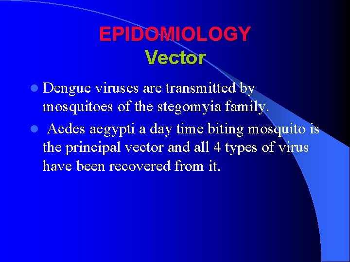 EPIDOMIOLOGY Vector l Dengue viruses are transmitted by mosquitoes of the stegomyia family. l