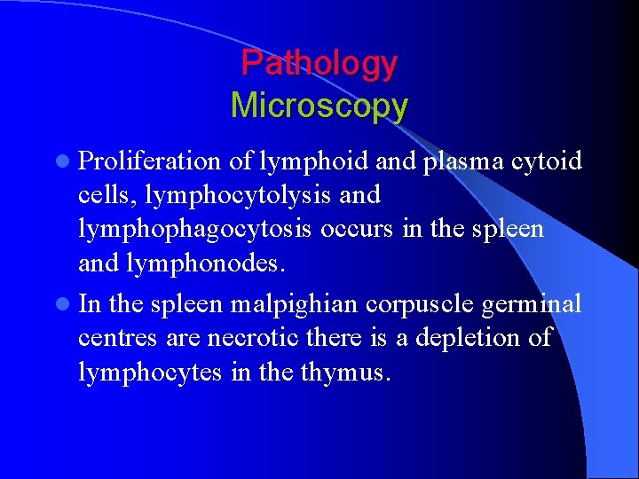 Pathology Microscopy l Proliferation of lymphoid and plasma cytoid cells, lymphocytolysis and lymphophagocytosis occurs