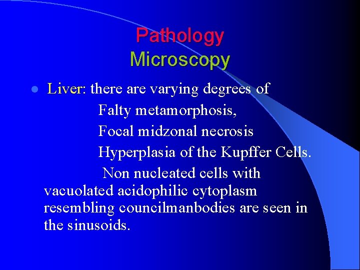 Pathology Microscopy l Liver: there are varying degrees of Falty metamorphosis, Focal midzonal necrosis