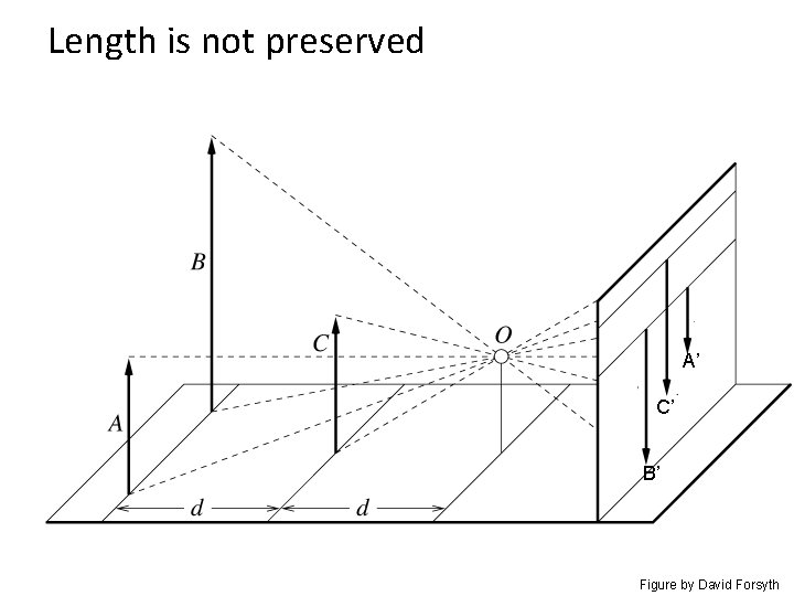 Length is not preserved A’ C’ B’ Figure by David Forsyth 