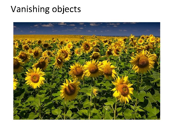 Vanishing objects 