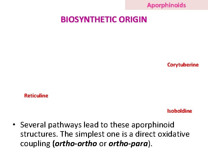 Aporphinoids BIOSYNTHETIC ORIGIN Corytuberine Reticuline Isoboldine • Several pathways lead to these aporphinoid structures.