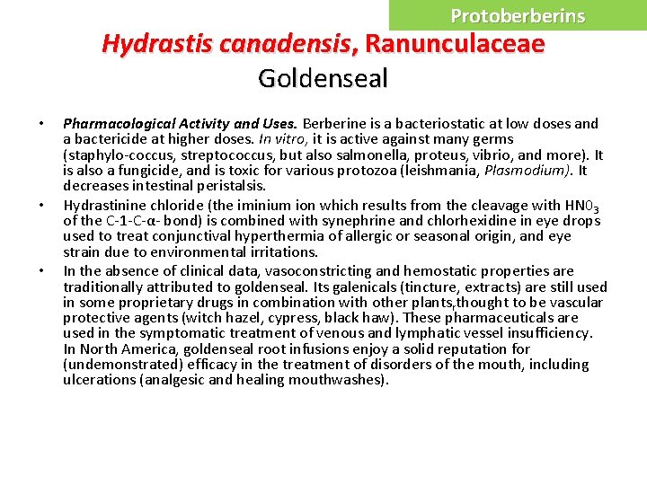 Protoberberins Hydrastis canadensis, Ranunculaceae Goldenseal • • • Pharmacological Activity and Uses. Berberine is
