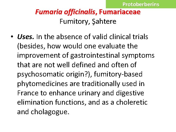 Protoberberins Fumaria officinalis, Fumariaceae Fumitory, Şahtere • Uses. In the absence of valid clinical