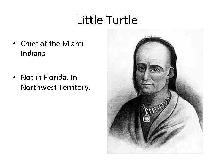 Little Turtle • Chief of the Miami Indians • Not in Florida. In Northwest