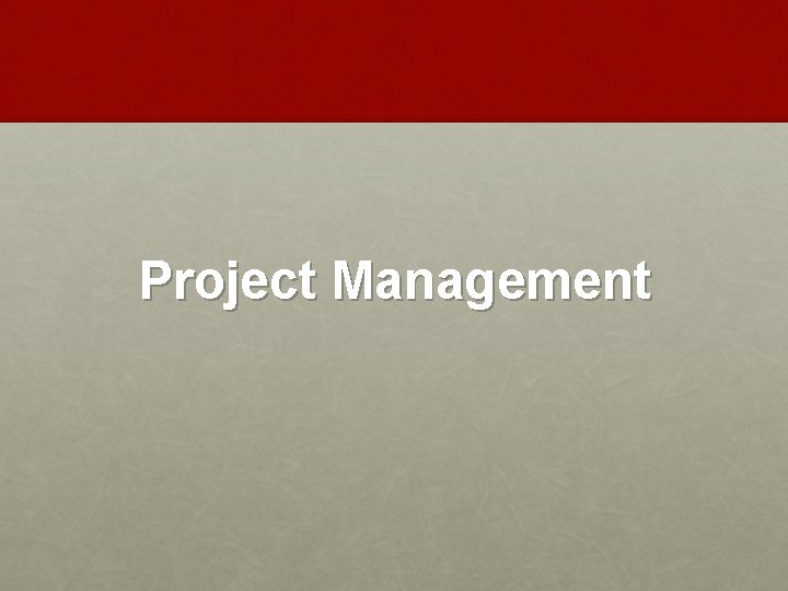 Project Management 