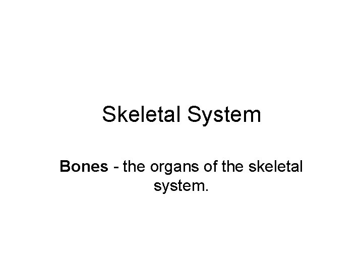 Skeletal System Bones - the organs of the skeletal system. 