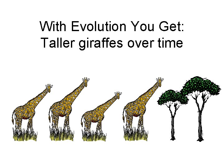 With Evolution You Get: Taller giraffes over time 