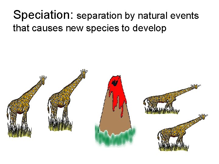 Speciation: separation by natural events that causes new species to develop 