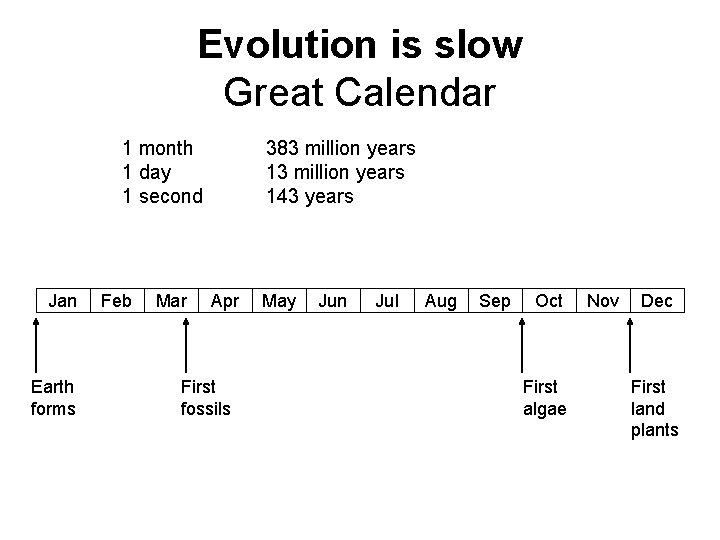 Evolution is slow Great Calendar 1 month 1 day 1 second Jan Earth forms