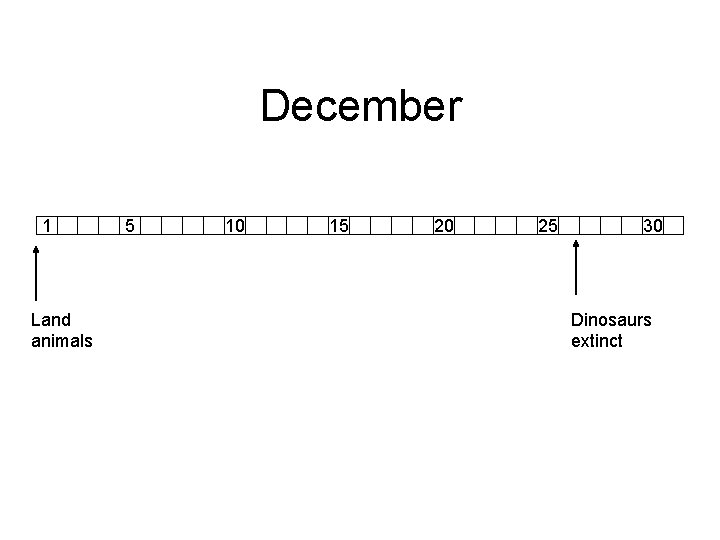 December 1 Land animals 5 10 15 20 25 30 Dinosaurs extinct 