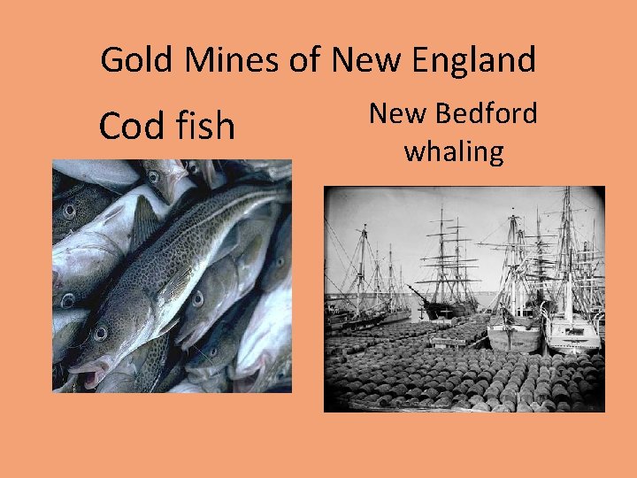 Gold Mines of New England Cod fish New Bedford whaling 