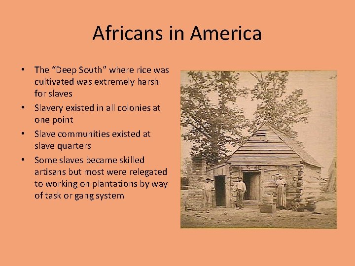 Africans in America • The “Deep South” where rice was cultivated was extremely harsh