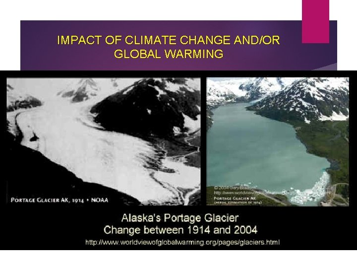 IMPACT OF CLIMATE CHANGE AND/OR GLOBAL WARMING 