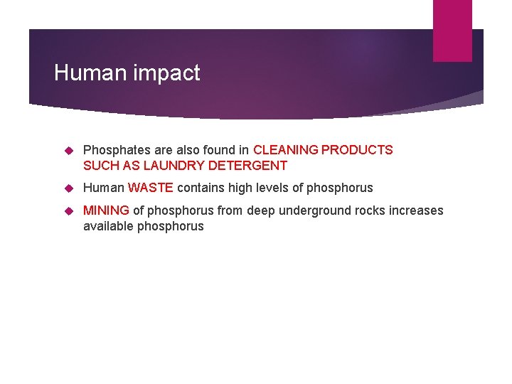 Human impact Phosphates are also found in CLEANING PRODUCTS SUCH AS LAUNDRY DETERGENT Human