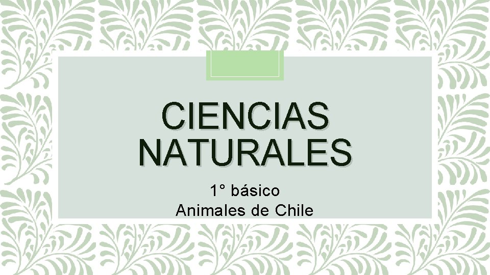 CIENCIAS NATURALES 1° básico Animales de Chile 