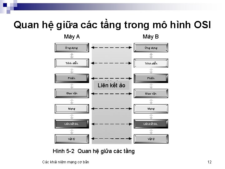 Quan hệ giữa các tầng trong mô hình OSI Máy A Máy B Ứng