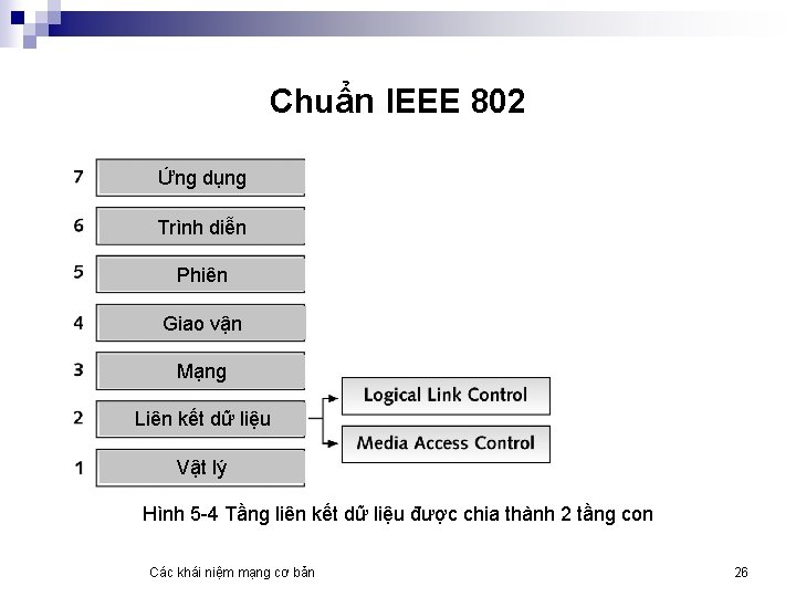 Chuẩn IEEE 802 Ứng dụng Trình diễn Phiên Giao vận Mạng Liên kết dữ
