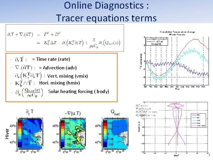 Online Diagnostics : Tracer equations terms = Time rate (rate) = Advection (adv) Vert. Online Diagnostics : Tracer equations terms = Time rate (rate) = Advection (adv) Vert.