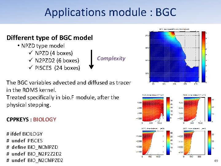 Applications module : BGC Different type of BGC model • NPZD type model ü Applications module : BGC Different type of BGC model • NPZD type model ü
