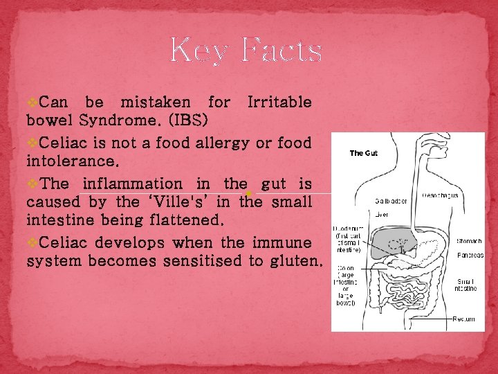 Key Facts v Can be mistaken for Irritable bowel Syndrome. (IBS) v Celiac is