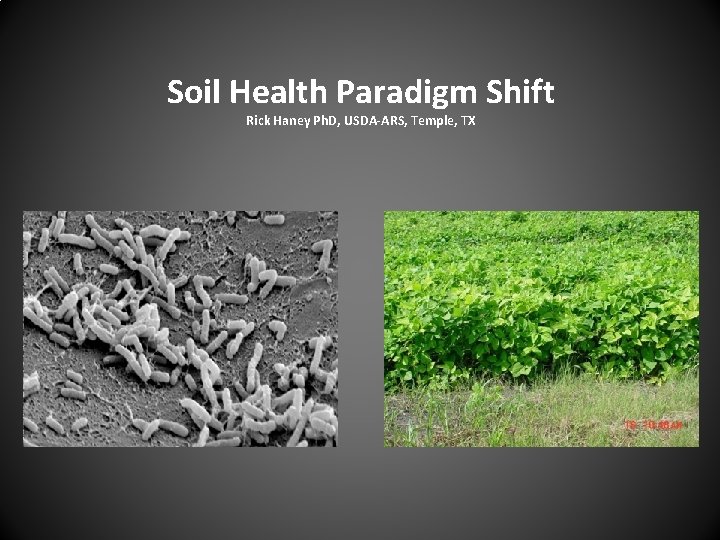 Soil Health Paradigm Shift Rick Haney Ph. D, USDA-ARS, Temple, TX 