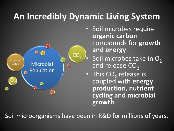 An Incredibly Dynamic Living System • Soil microbes require organic carbon compounds for growth