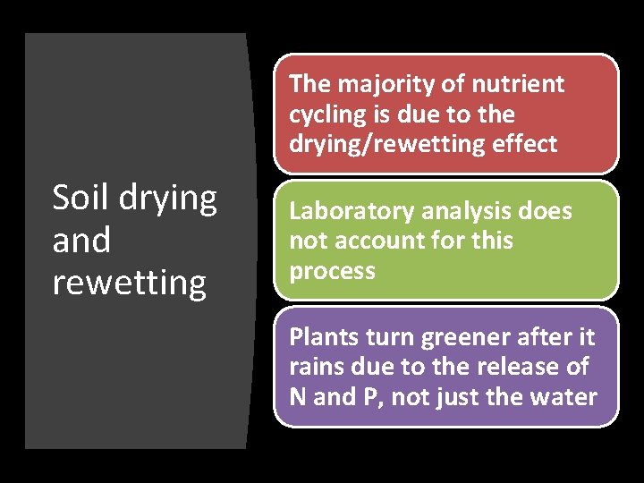 The majority of nutrient cycling is due to the drying/rewetting effect Soil drying and