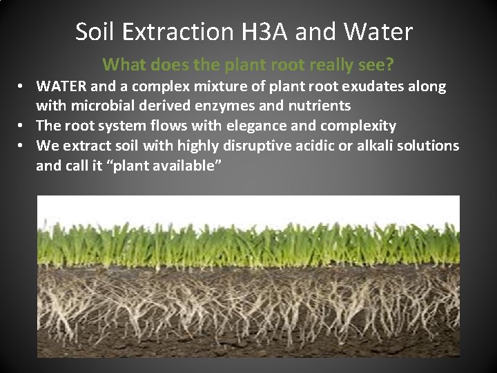 Soil Extraction H 3 A and Water What does the plant root really see?