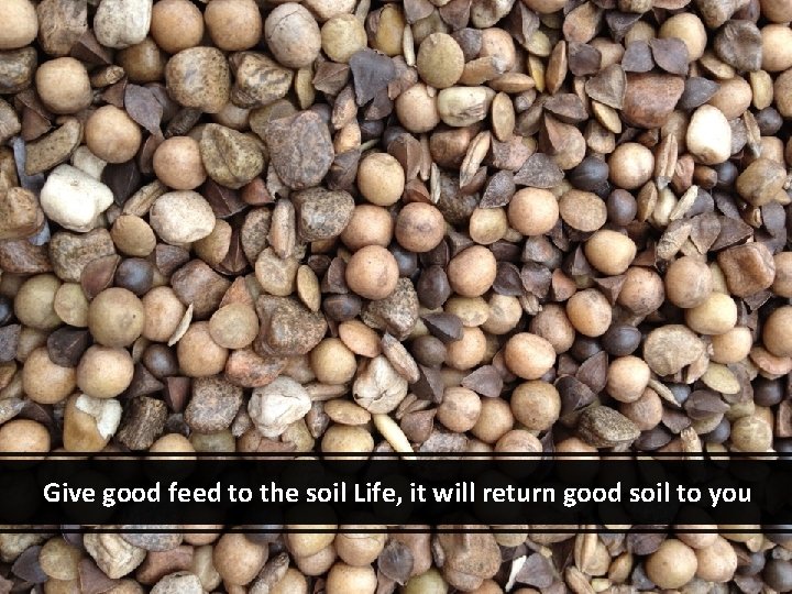 Give good feed to the soil Life, it will return good soil to you