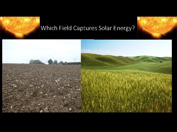 Which Field Captures Solar Energy? 