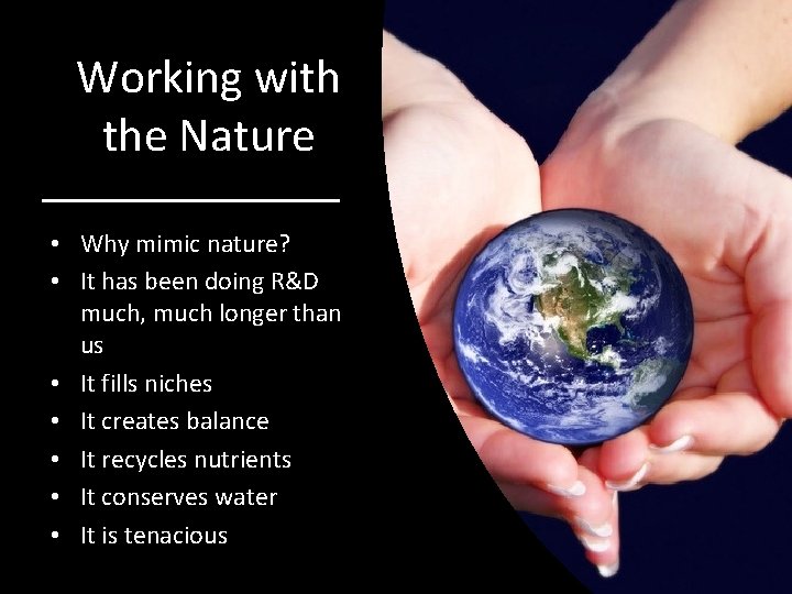 Working with the Nature • Why mimic nature? • It has been doing R&D