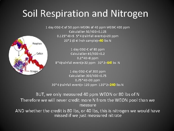 Soil Respiration and Nitrogen 1 day CO 2 -C of 50 ppm WEON of