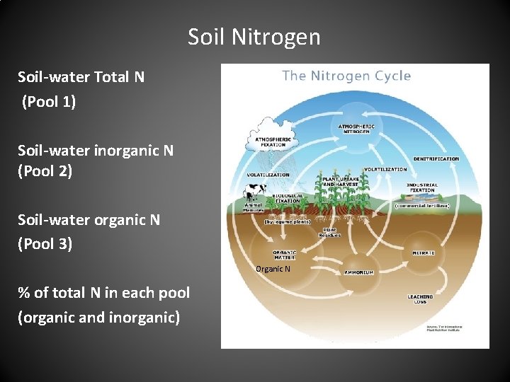 Soil Nitrogen Soil-water Total N (Pool 1) Soil-water inorganic N (Pool 2) Soil-water organic