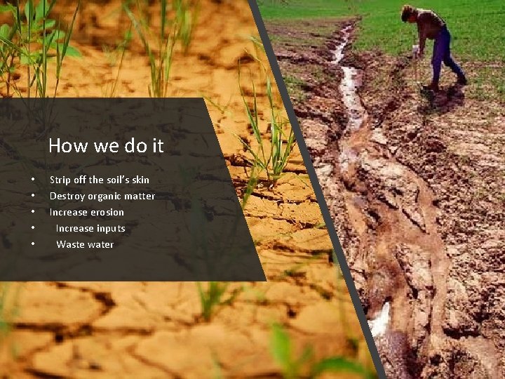 How we do it • • • Strip off the soil’s skin Destroy organic