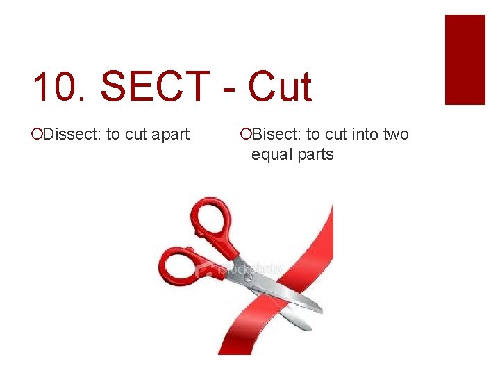 10. SECT - Cut Dissect: to cut apart Bisect: to cut into two equal