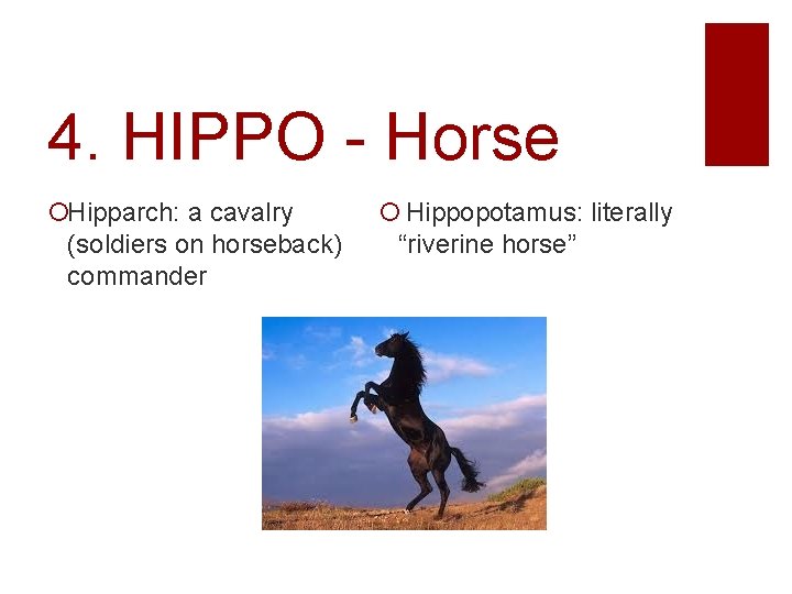 4. HIPPO - Horse Hipparch: a cavalry (soldiers on horseback) commander Hippopotamus: literally “riverine
