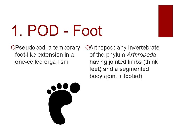 1. POD - Foot Pseudopod: a temporary Arthopod: any invertebrate foot-like extension in a