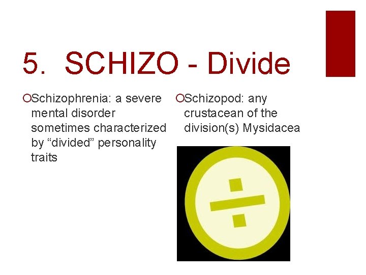 5. SCHIZO - Divide Schizophrenia: a severe Schizopod: any mental disorder crustacean of the