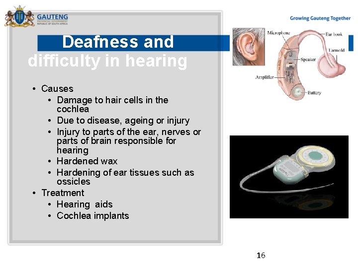 Deafness and difficulty in hearing • Causes • Damage to hair cells in the