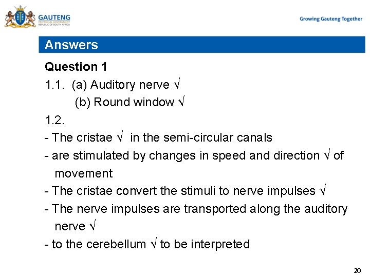 Answers Question 1 1. 1. (a) Auditory nerve √ (b) Round window √ 1.